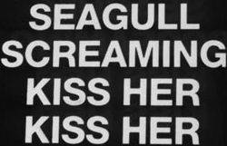 logo Seagull Screaming Kiss Her Kiss Her